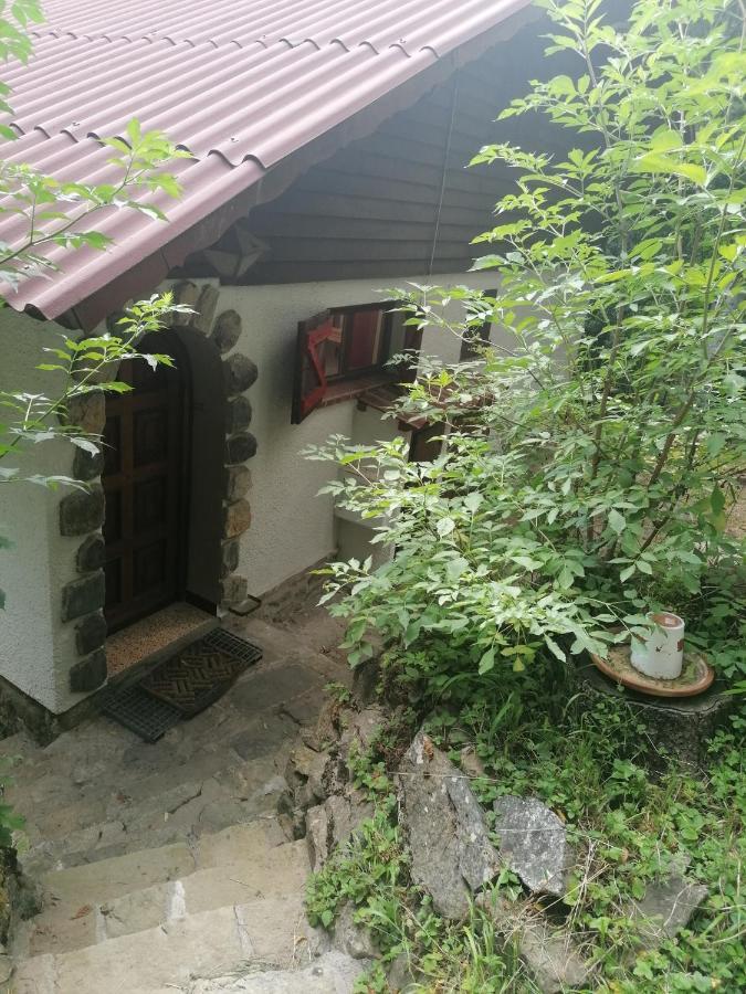 Chalet Le Tyrolien, Au Coeur Du Boreon Saint-Martin-Vesubie Exterior photo